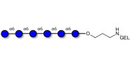 Isomaltohexaose DP6 grafted...